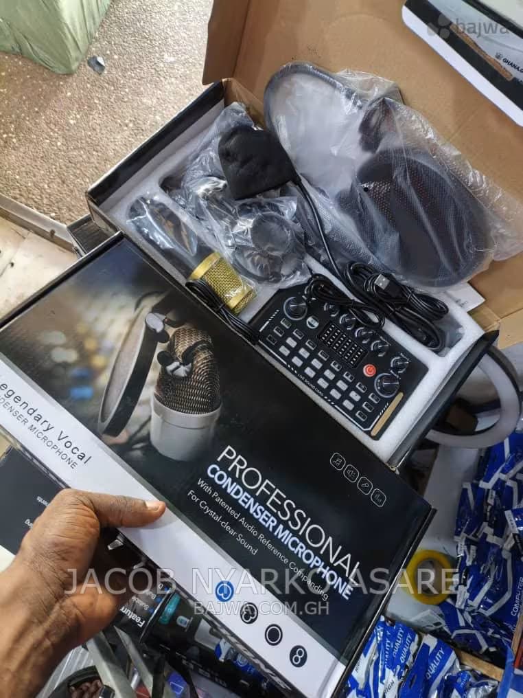 Professional Condenser Microphone