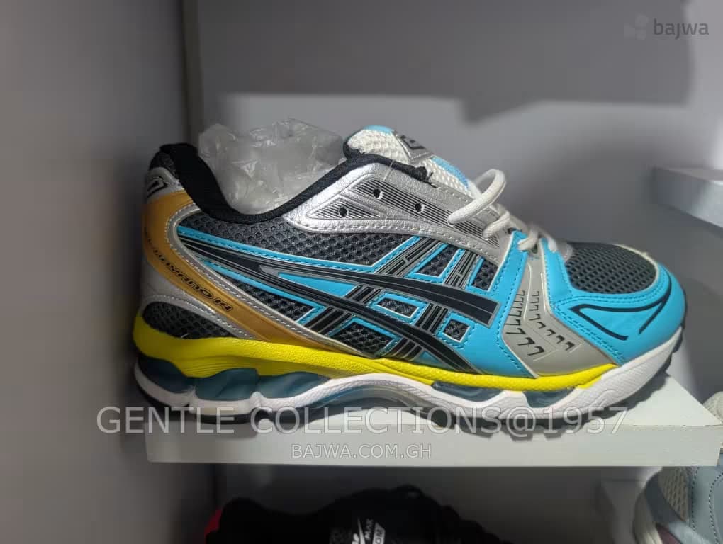 Asics shoe